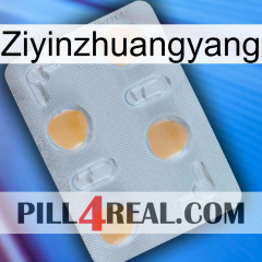 Ziyinzhuangyang 24